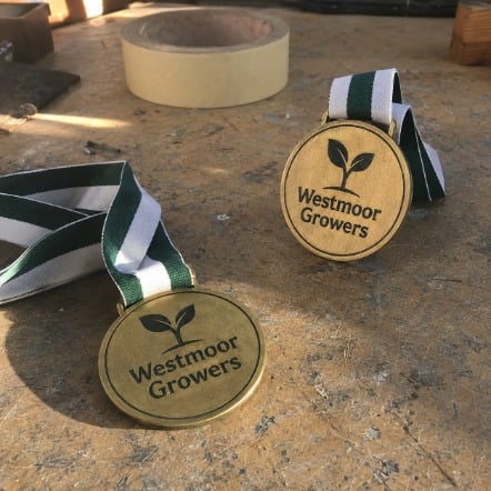 Customized wrestling medals for AAU and travel events