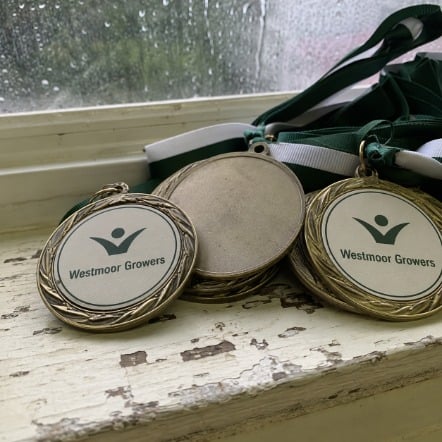 Insert Wrestling Medals